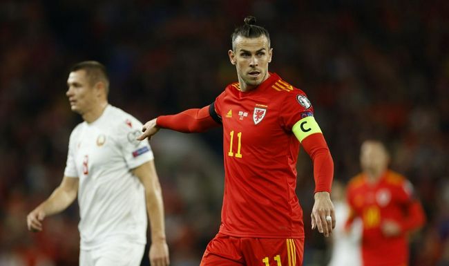 色狗网站
