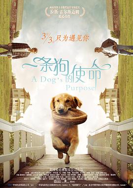 焕儿一小时视频最经典十首歌曲